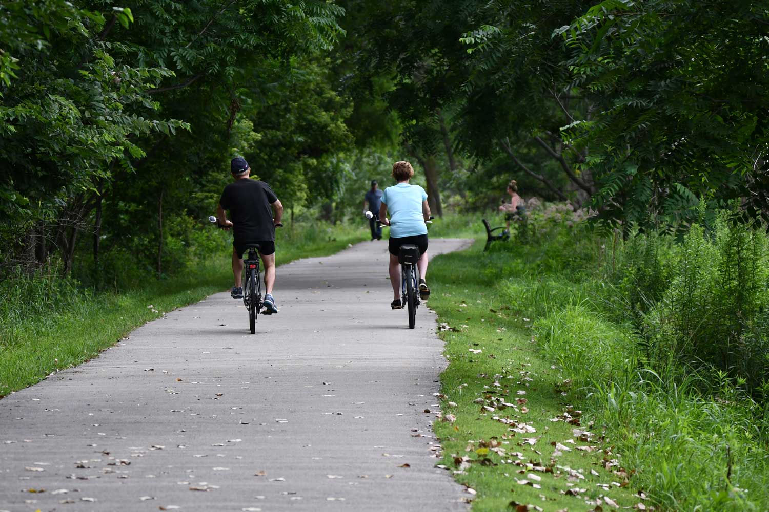 Two people riding down a paved trail lined by trees and grasses.