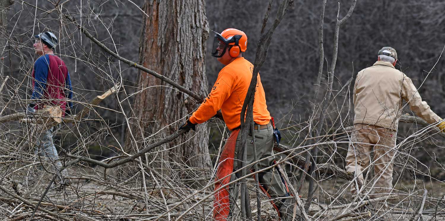 A person in protective gear hauling branches.