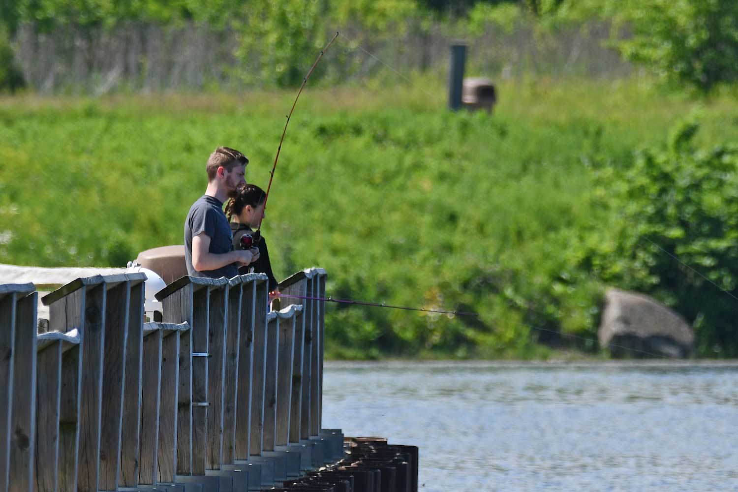 Two people fishing from behind a wooden railing along a shoreline.