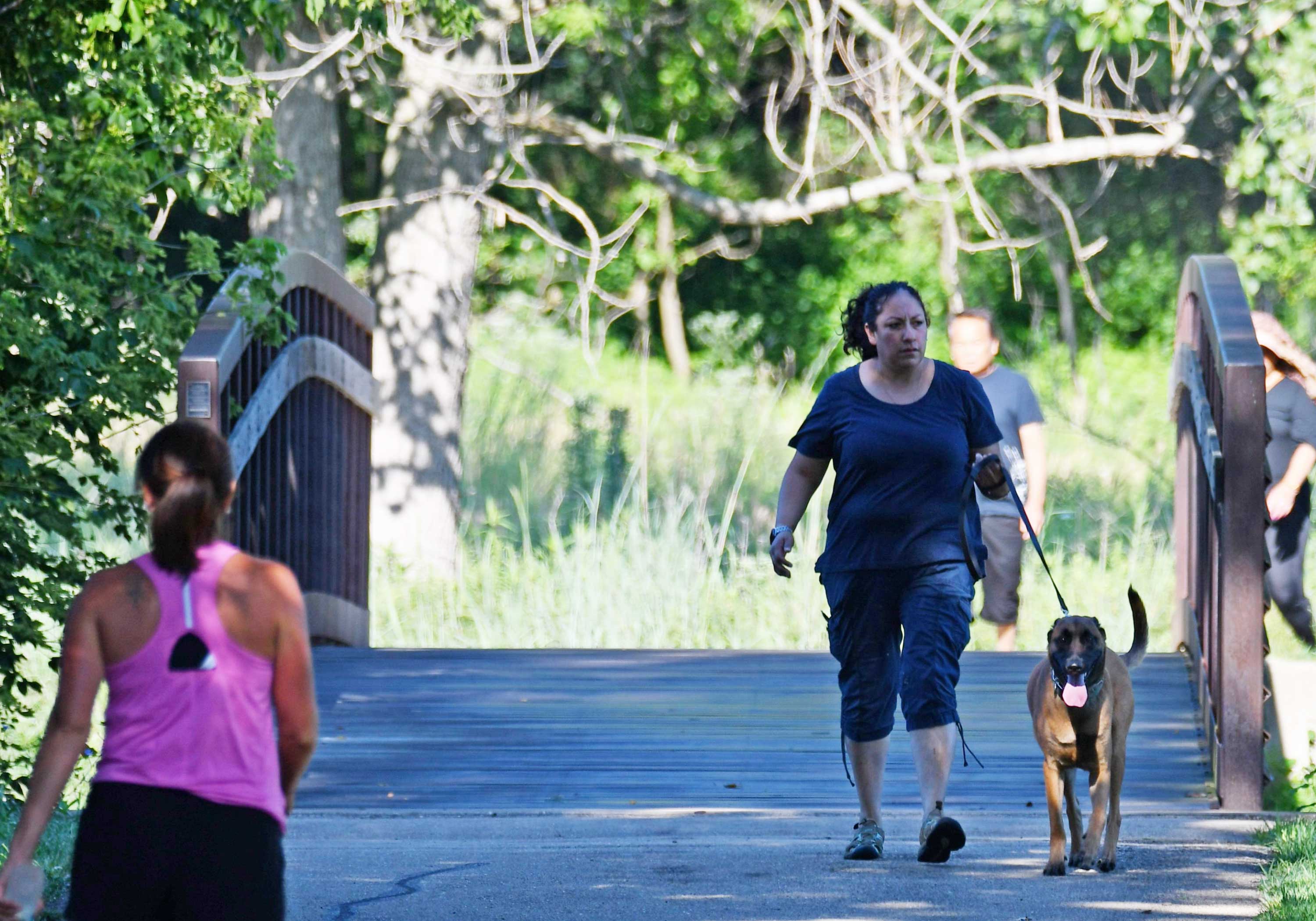 Woman walking her leashed dog across a wooden bridge on a scenic trail, with other hikers in the background.