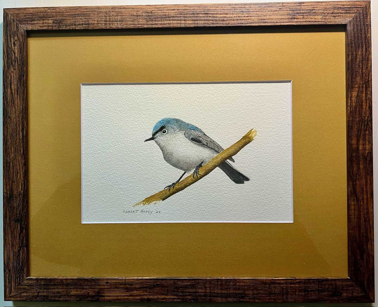 A framed drawing of a blue-gray gnatcatcher perched on a branch.