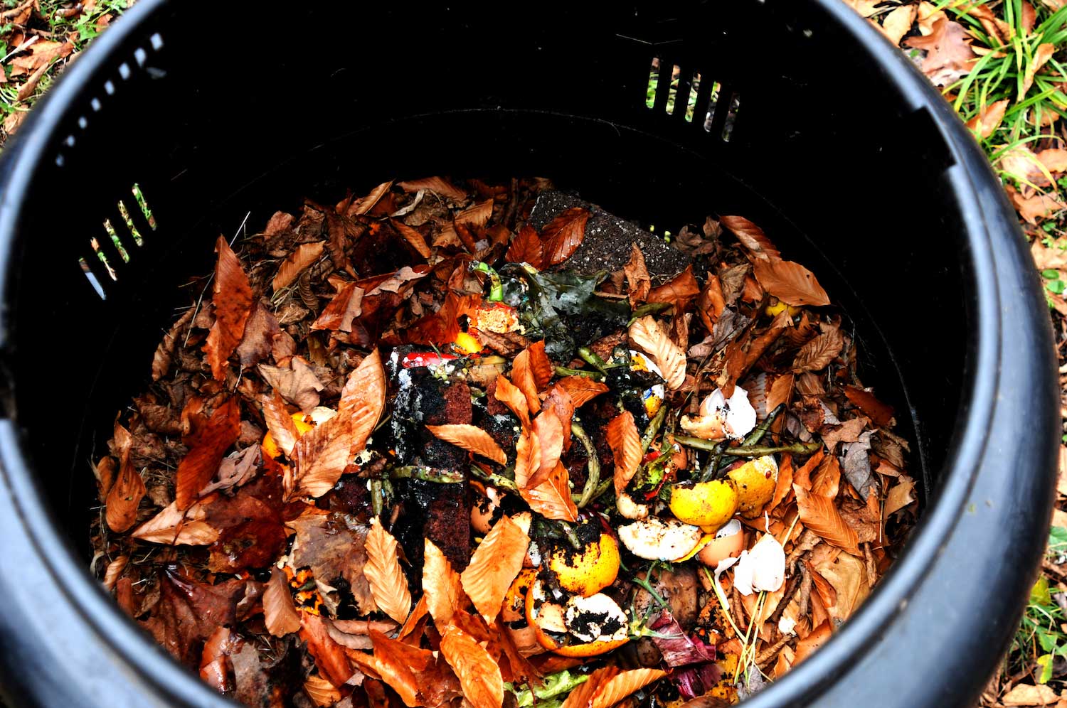 Food scraps and compost in a compost bin.