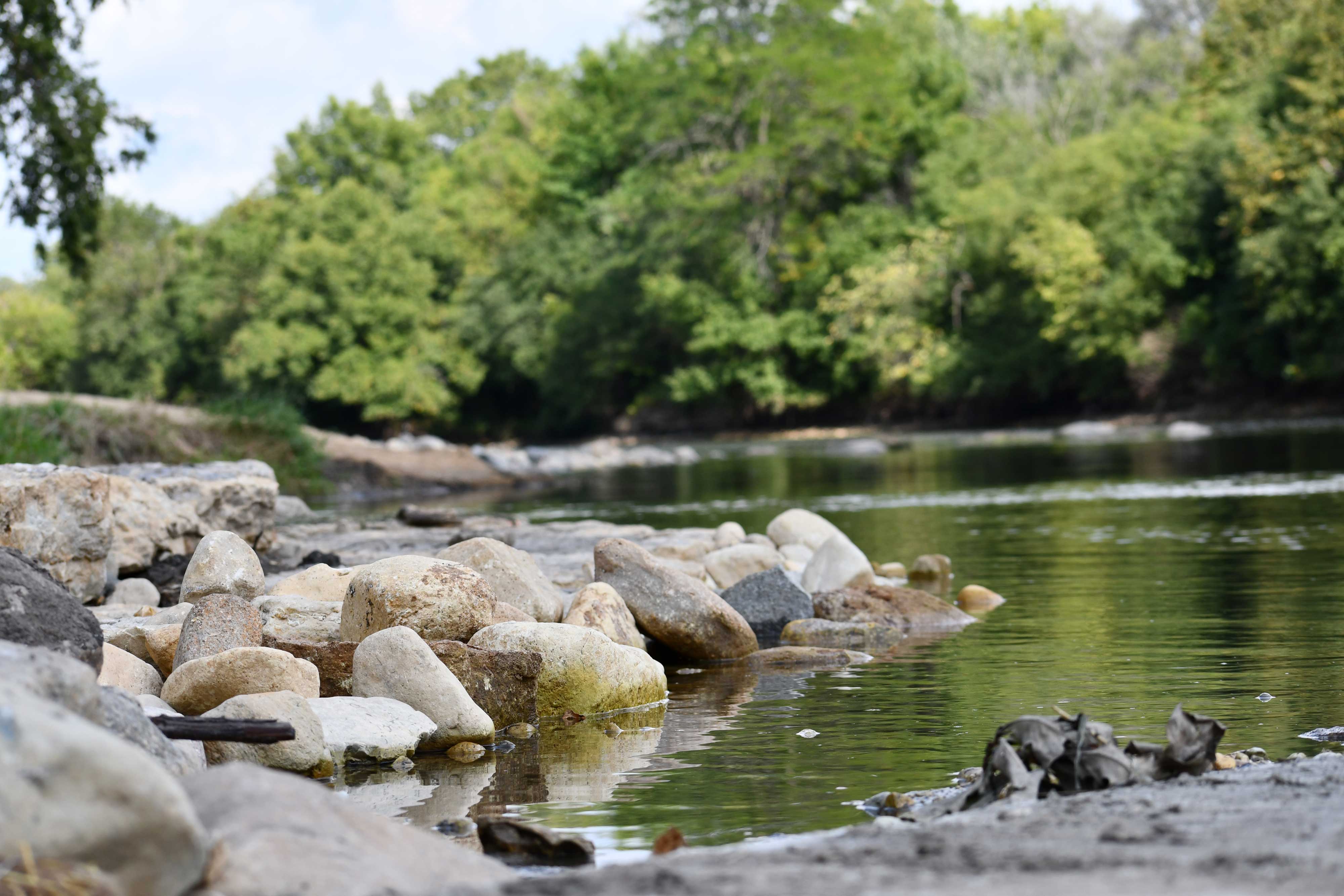 Small rocks along the shoreline.
