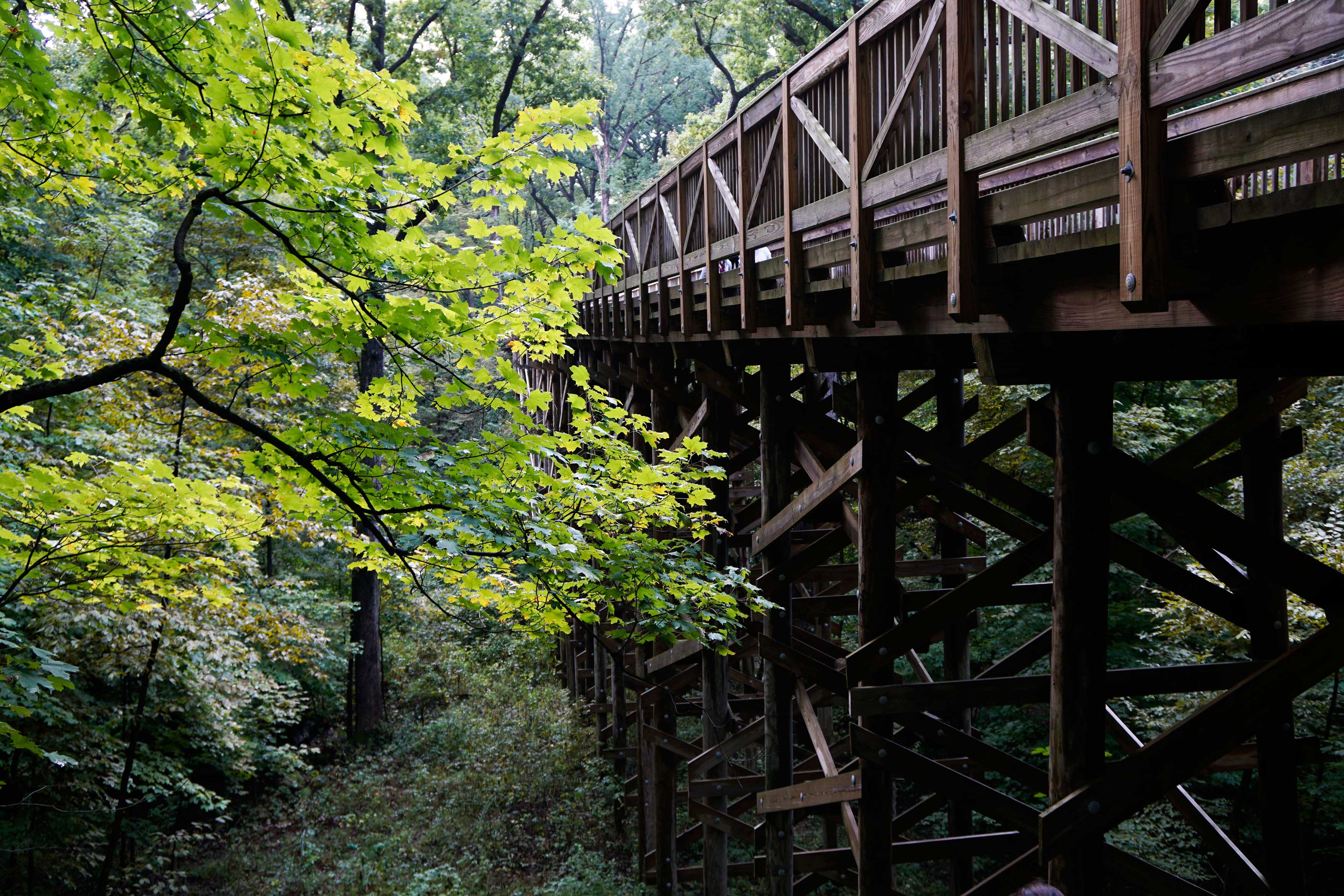 The big bridge along the Plum Creek Greenway Trail.