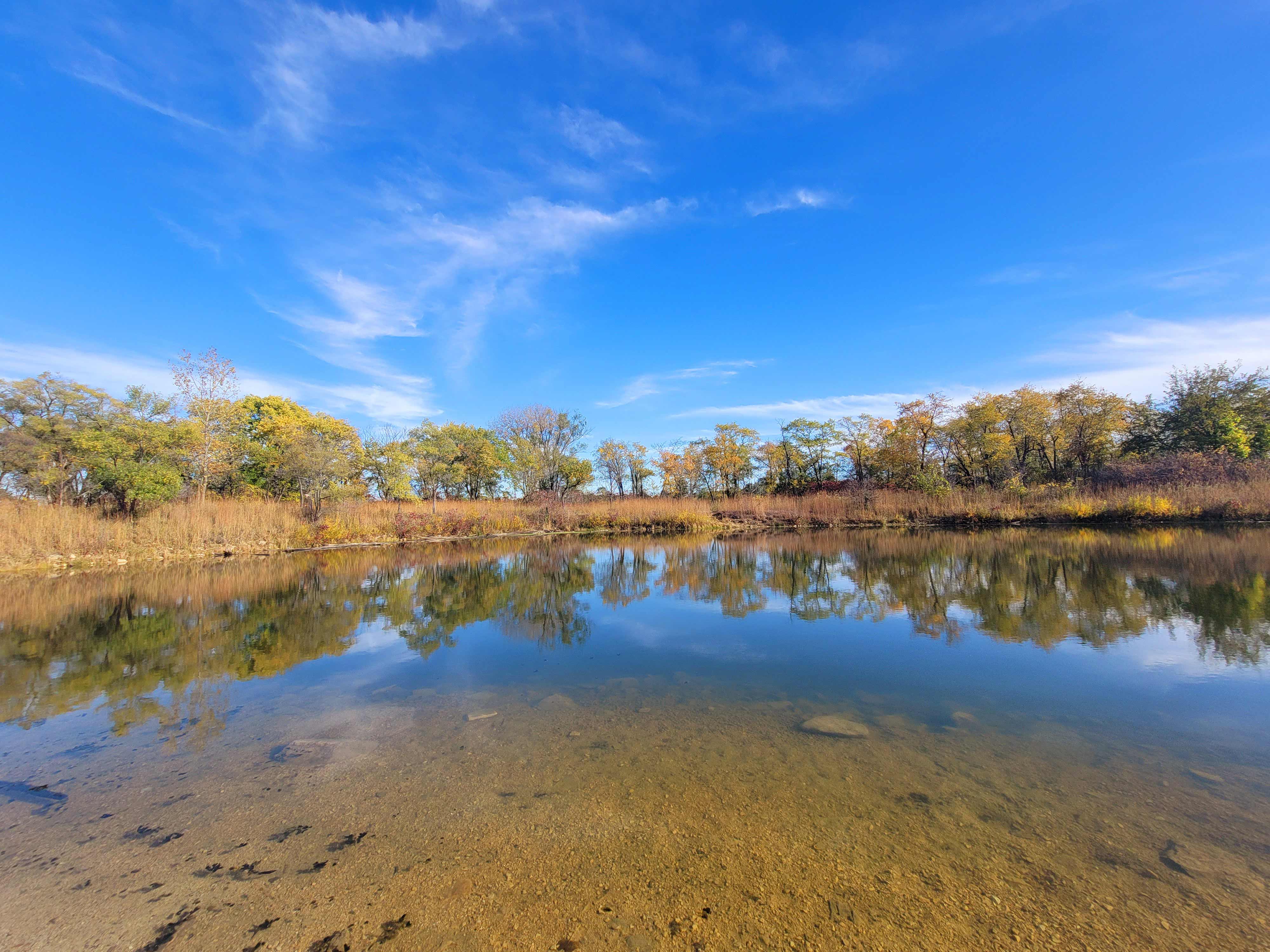 A view of the pond at Rock Run Preserve.