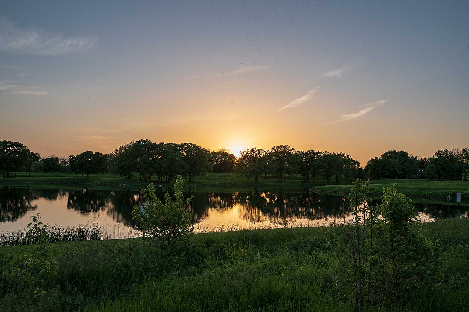 The sun setting behind the trees with a lake in the foreground.