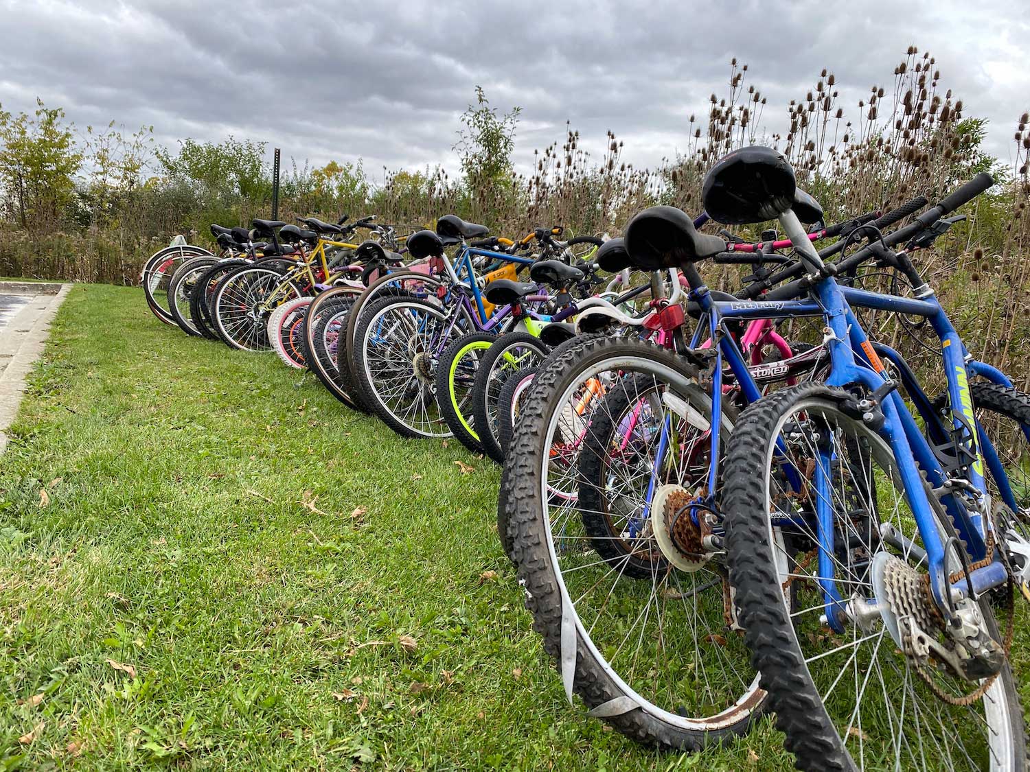 A collection of bikes lined up on the grass next to a parking lot.