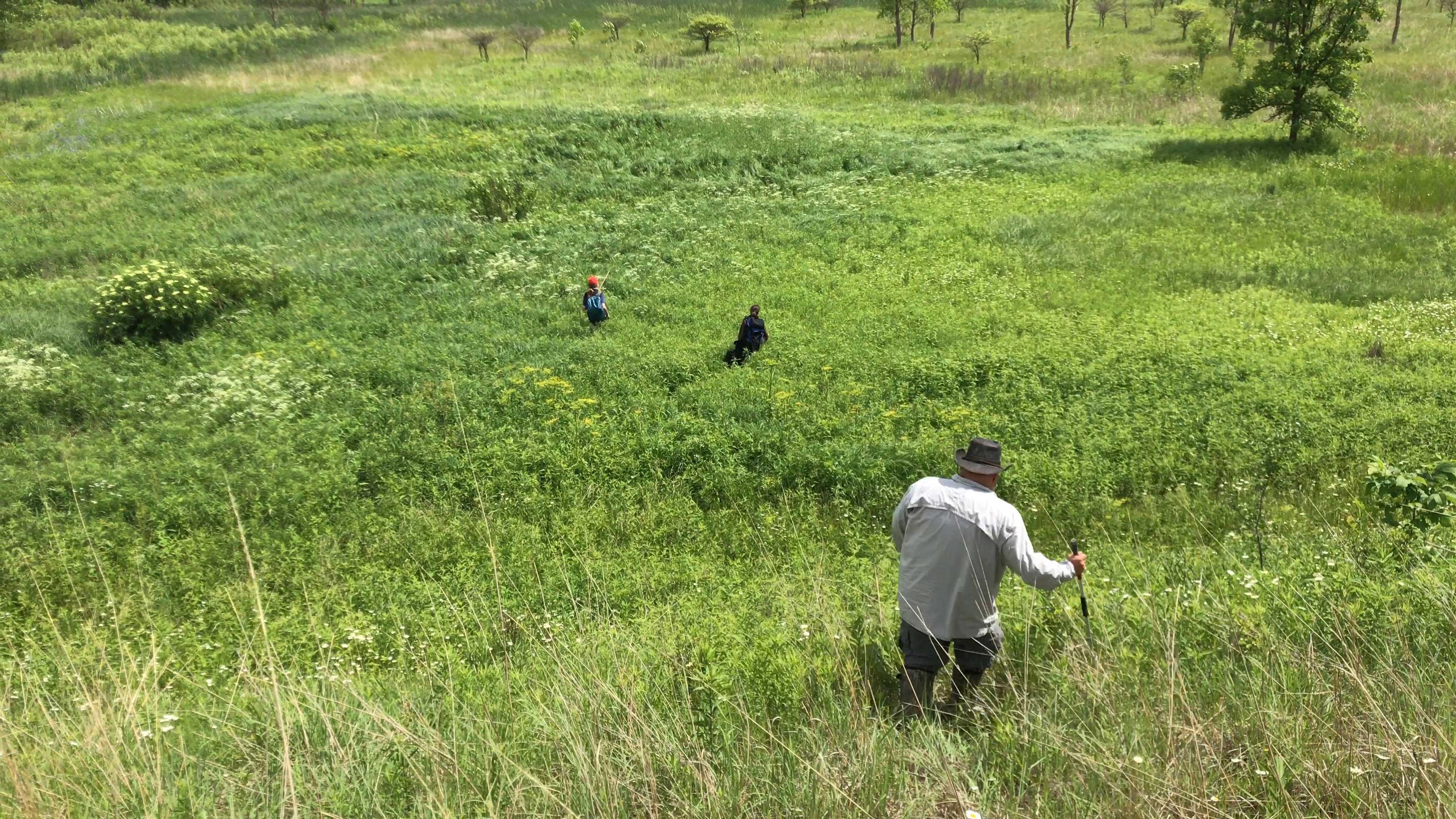 A group of people looking for Kirtland's snakes in a field.