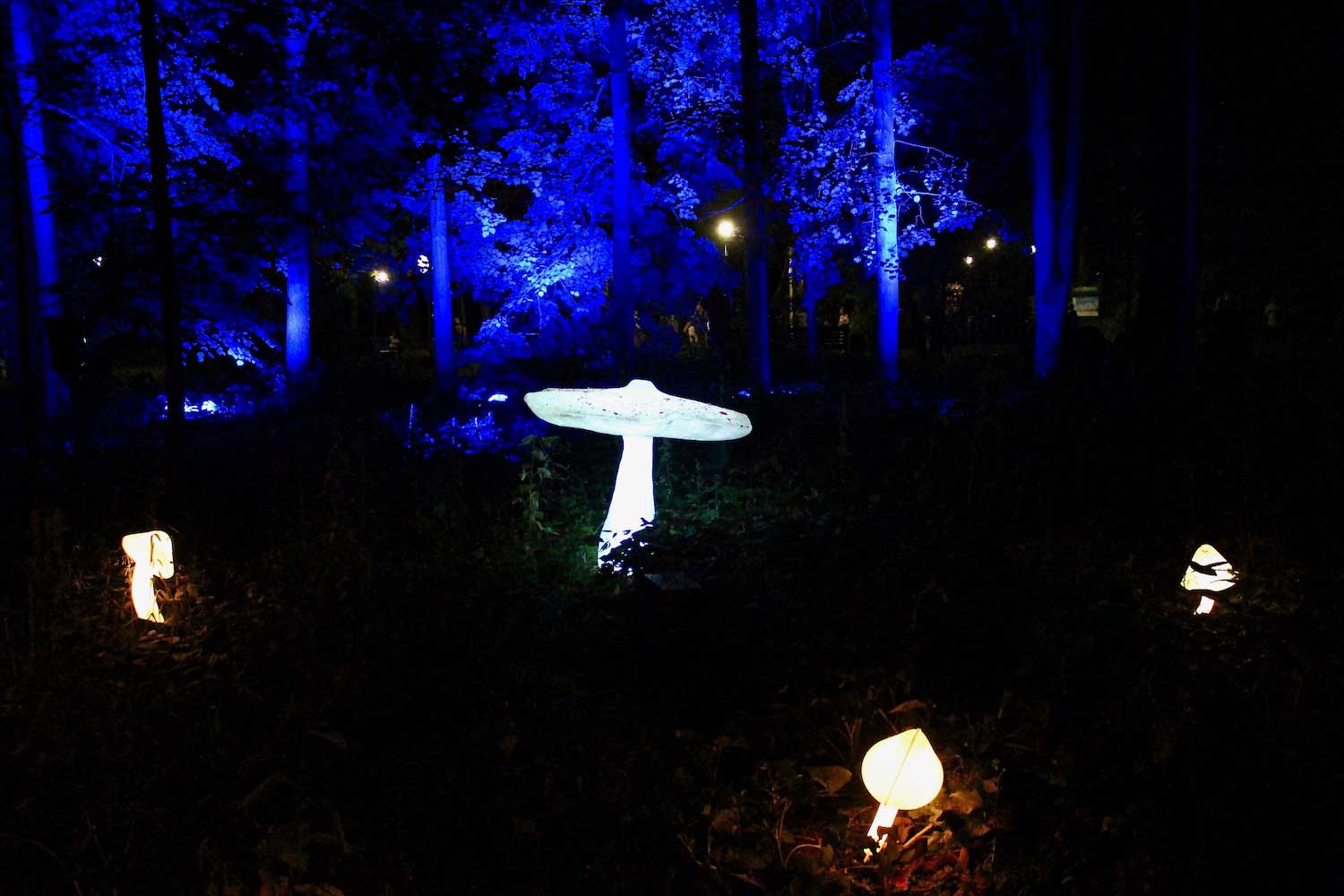 Mushroom-like figures and figurines glowing in the dark in a forest.