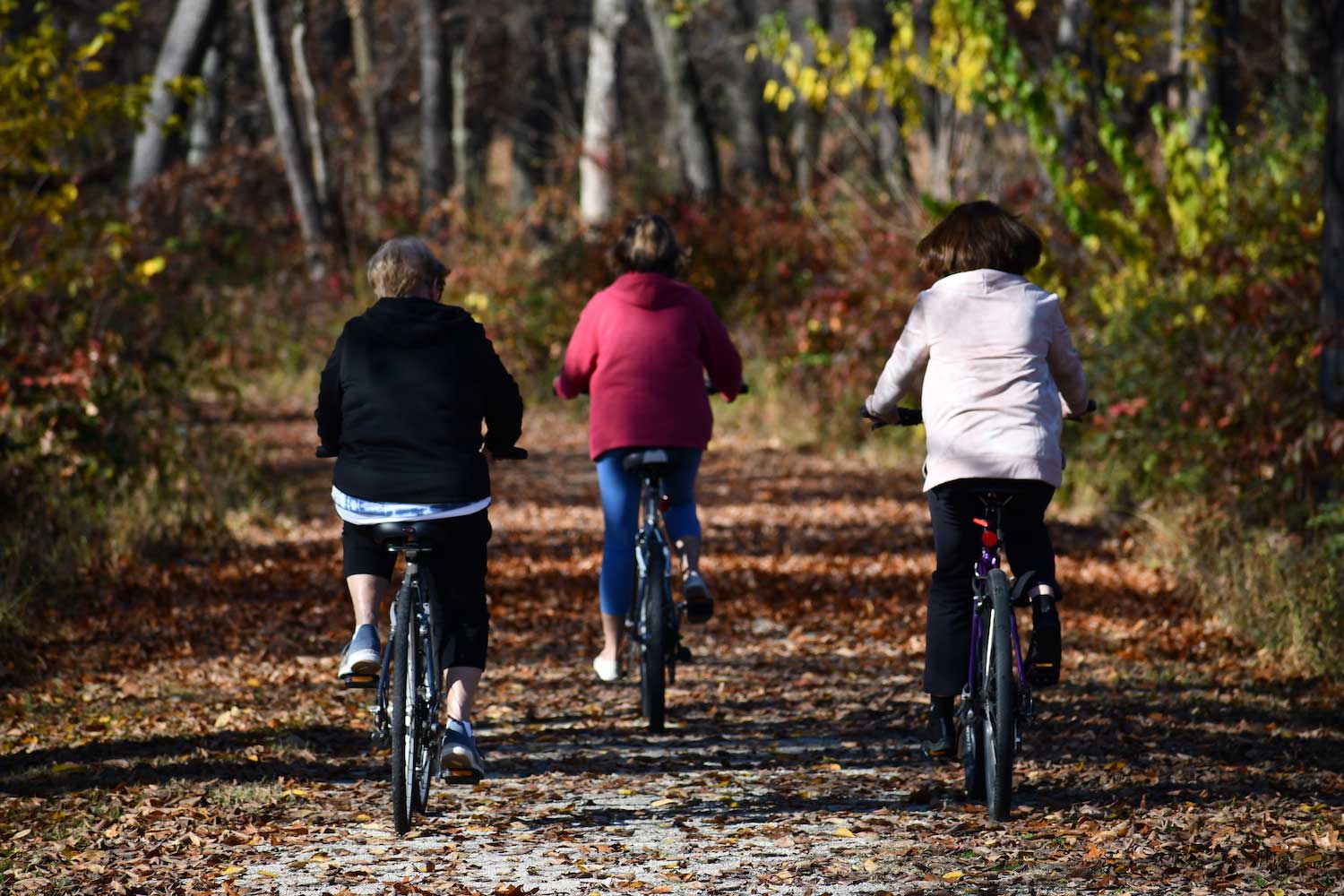 Three people riding bikes along a leaf-covered trail.