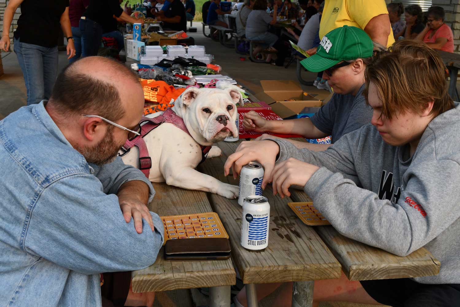 Three people and a dog sitting at a picnic table under a shelter. The people are playing bingo and bingo cards and food and drink are on the table.