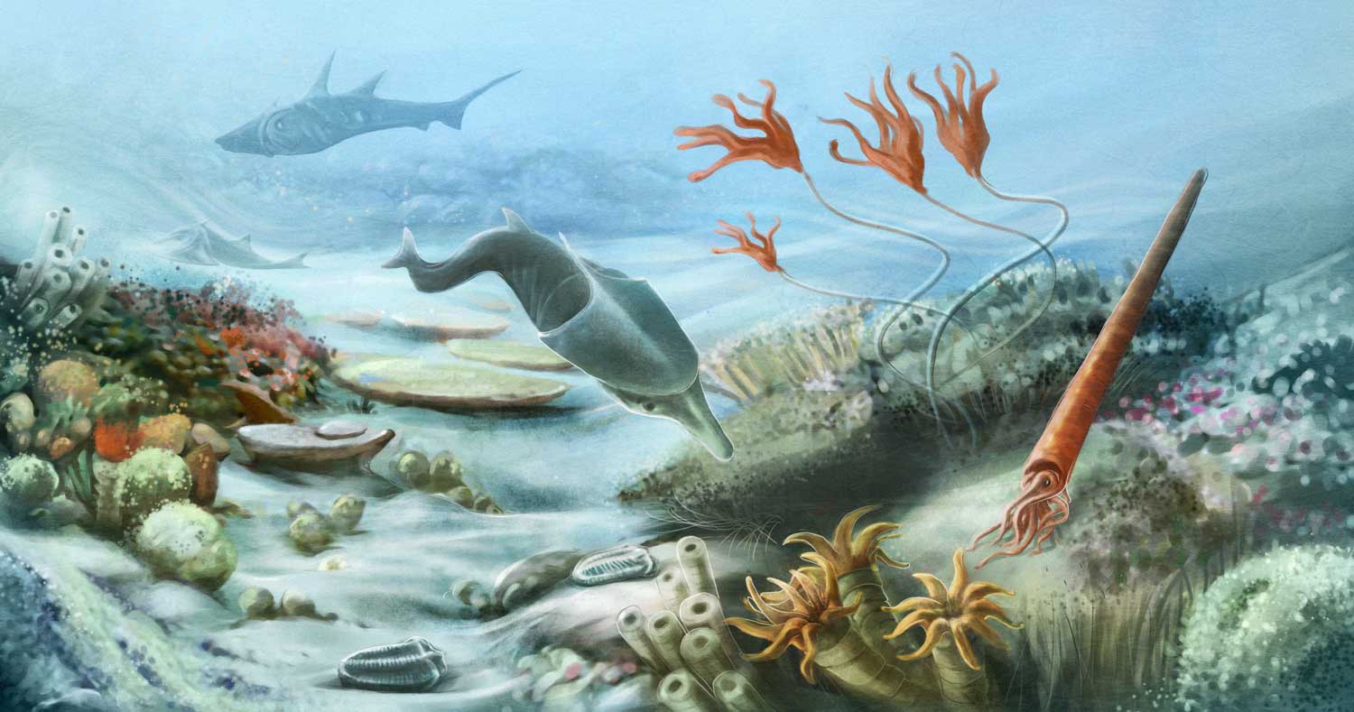 An illustration featuring prehistoric sea life under water.