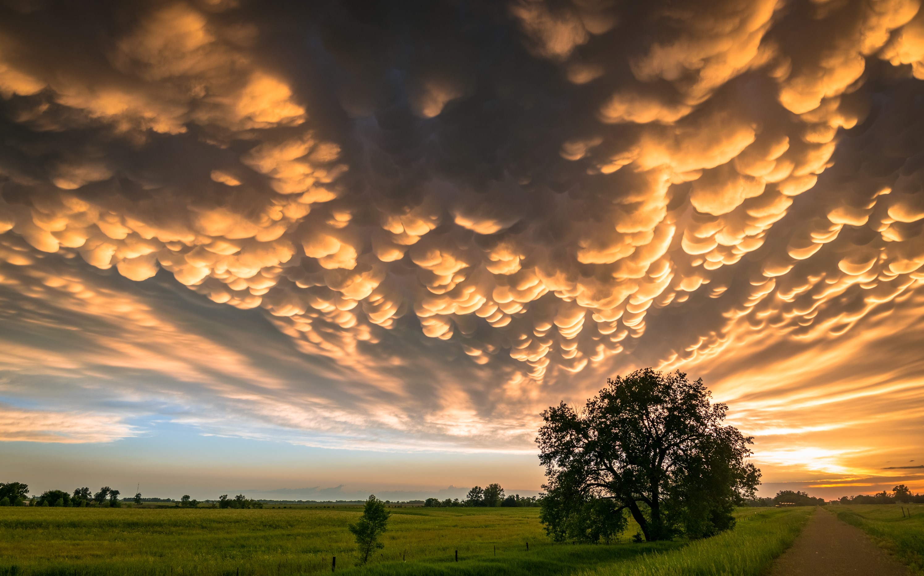 Clouds or Snow? Here Are a Few Ways to Tell the Difference