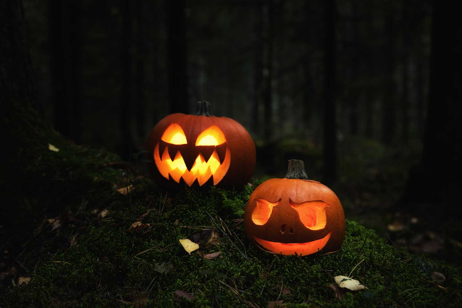 Lighted jack-o'-lanterns on a mossy log in the forest.