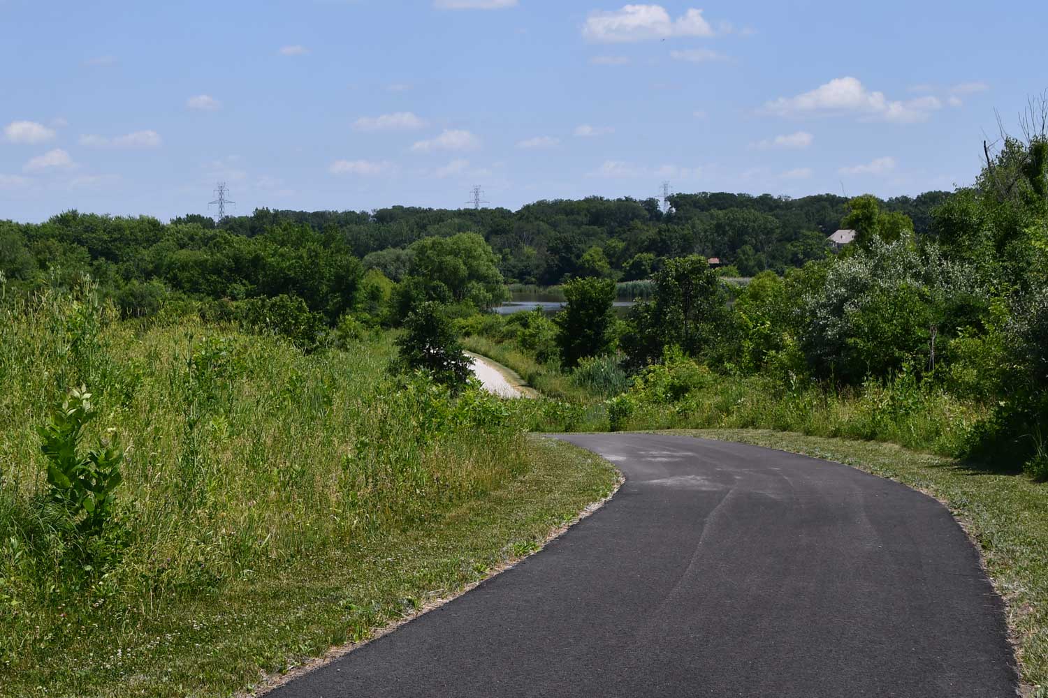 Paved trail lined with grasses.