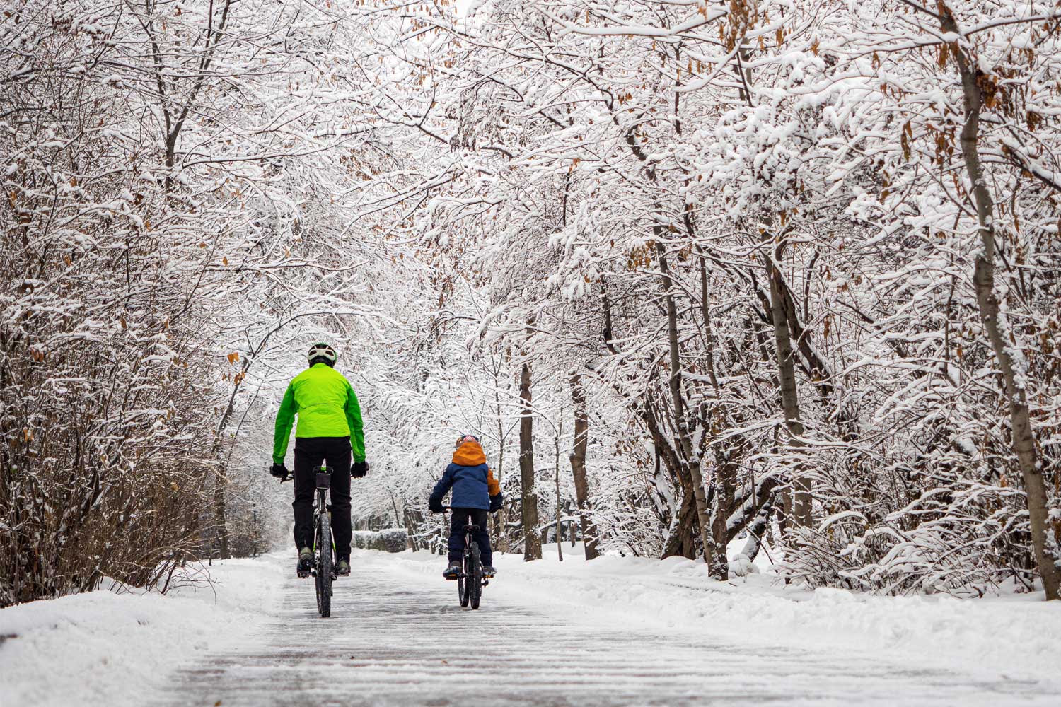 People riding bikes on a paved trail through snow covered trees.
