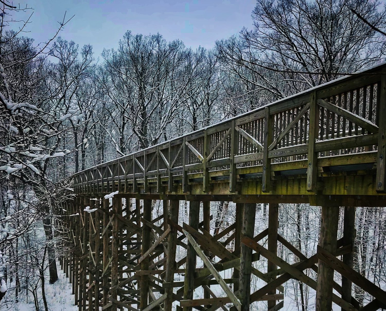 A wooden bridge spanning a ravine in winter.