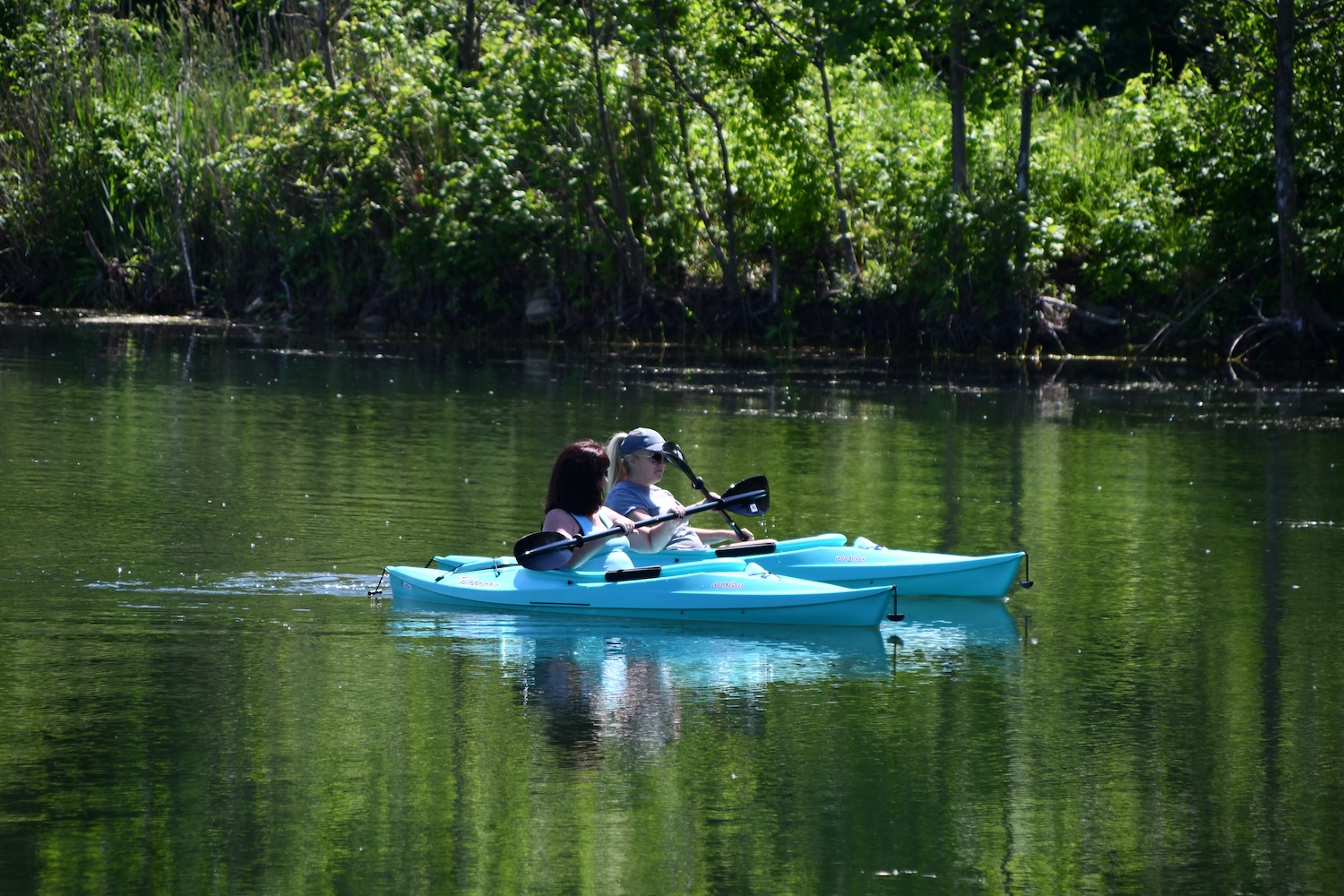 Two people in kayaks on a lake with grasses and trees in the background.