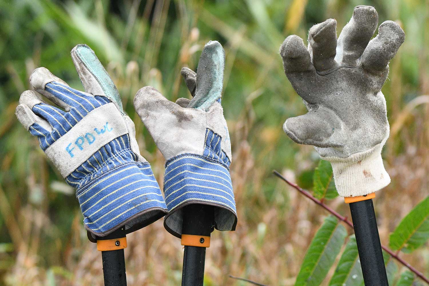 Three work gloves set atop three sets of loppers propped up on the ground.