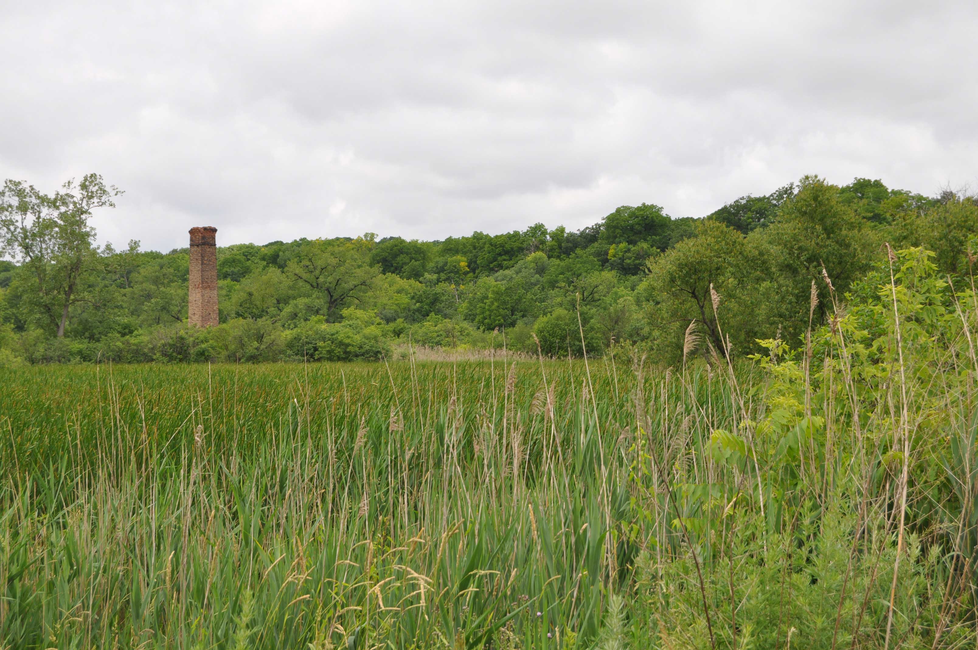Scenic view of the preserve with the smokestack in the distance.