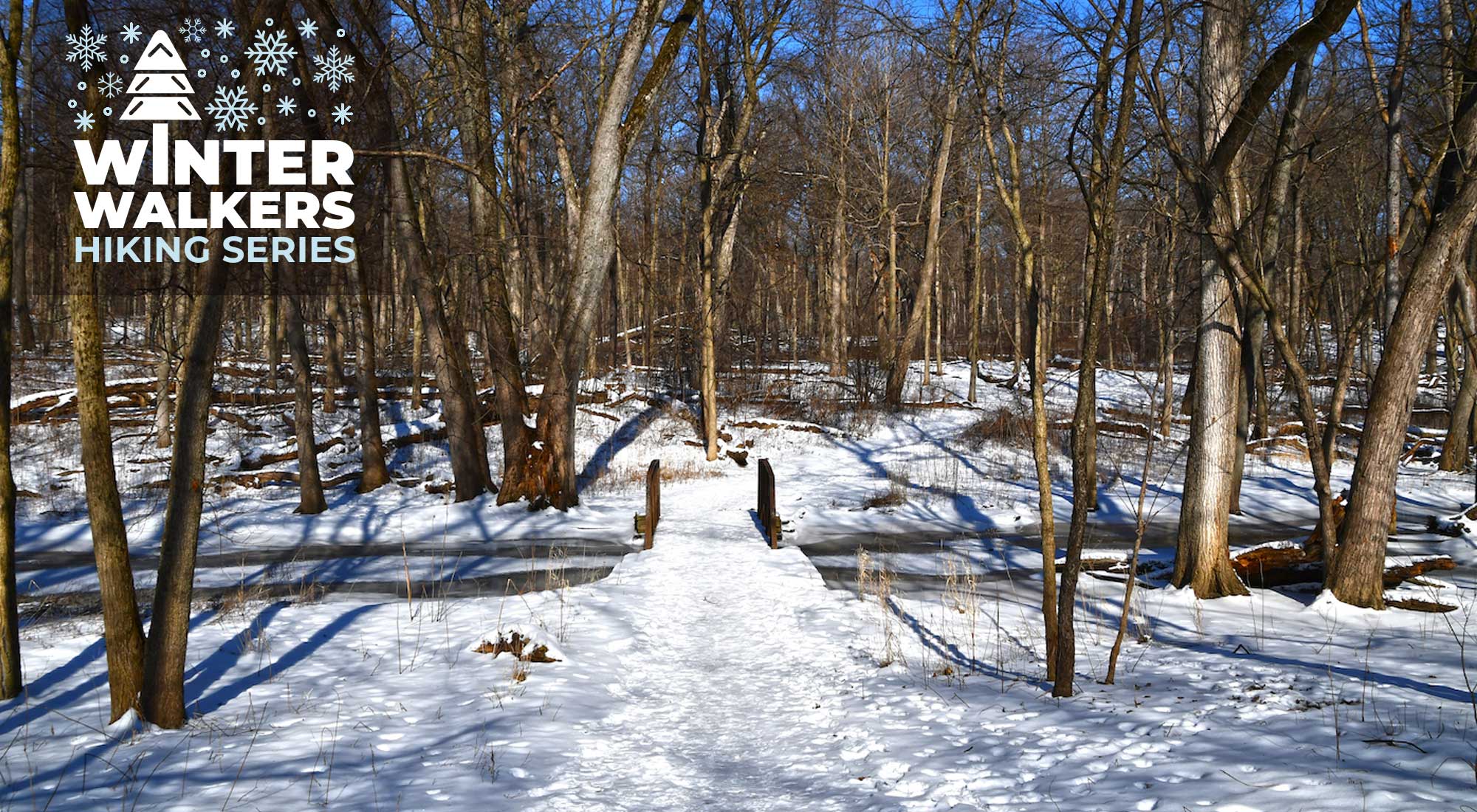 A snow-covered trail in the woods.