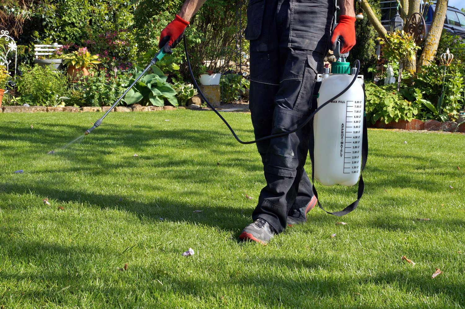 Person spraying pesticides on lawn