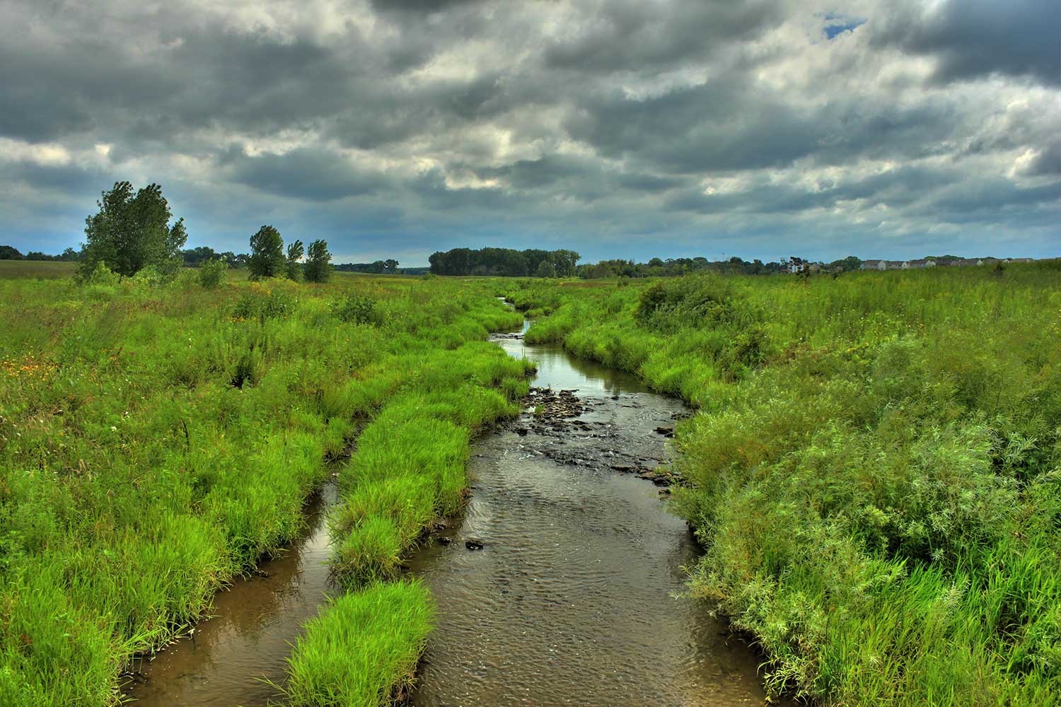 A scenic view of a creek.