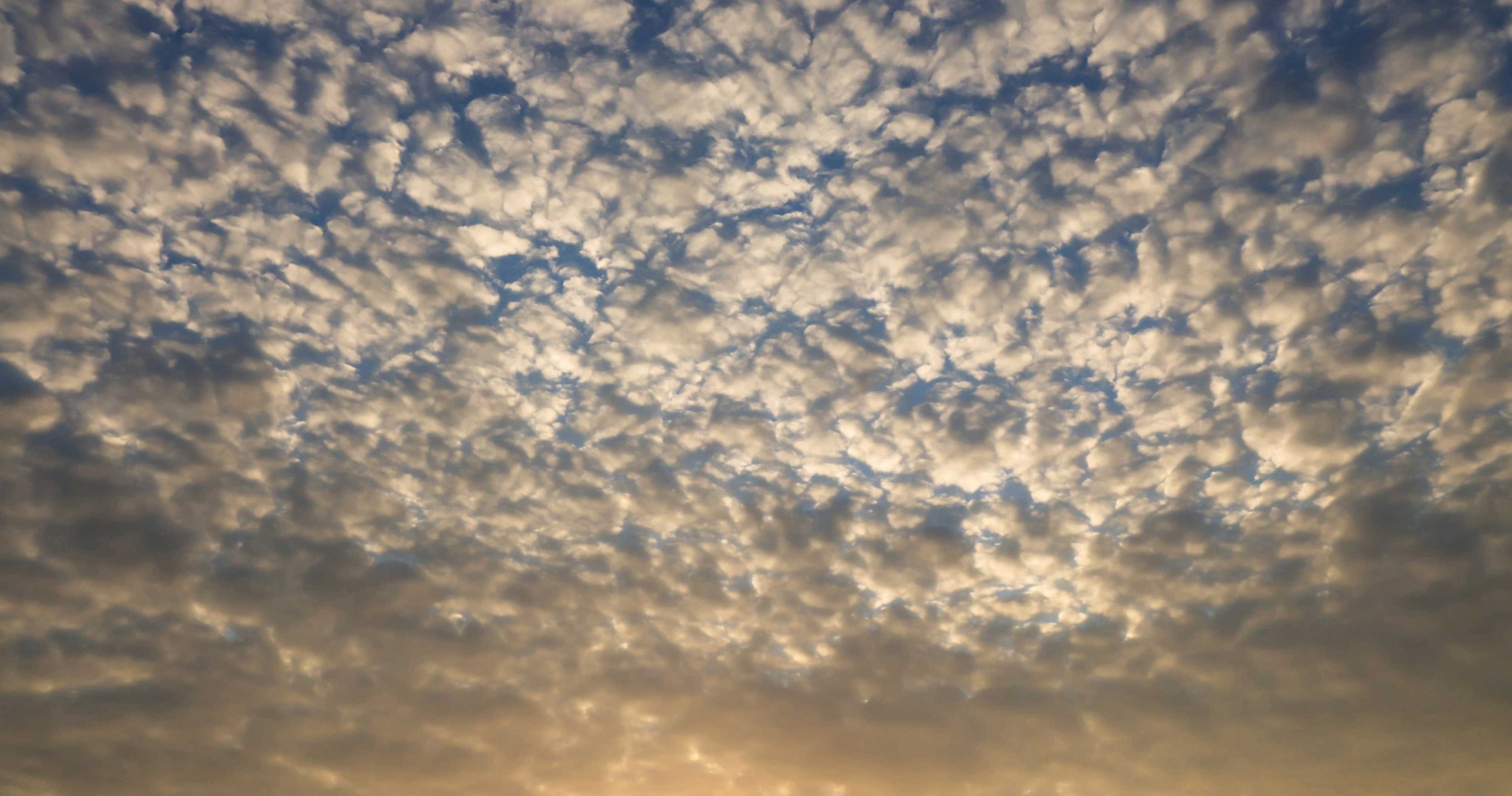 Altocumulus clouds.