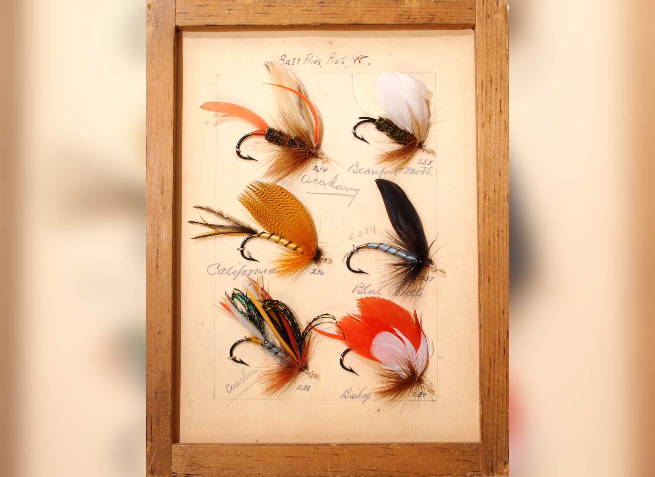 A collection of lures.
