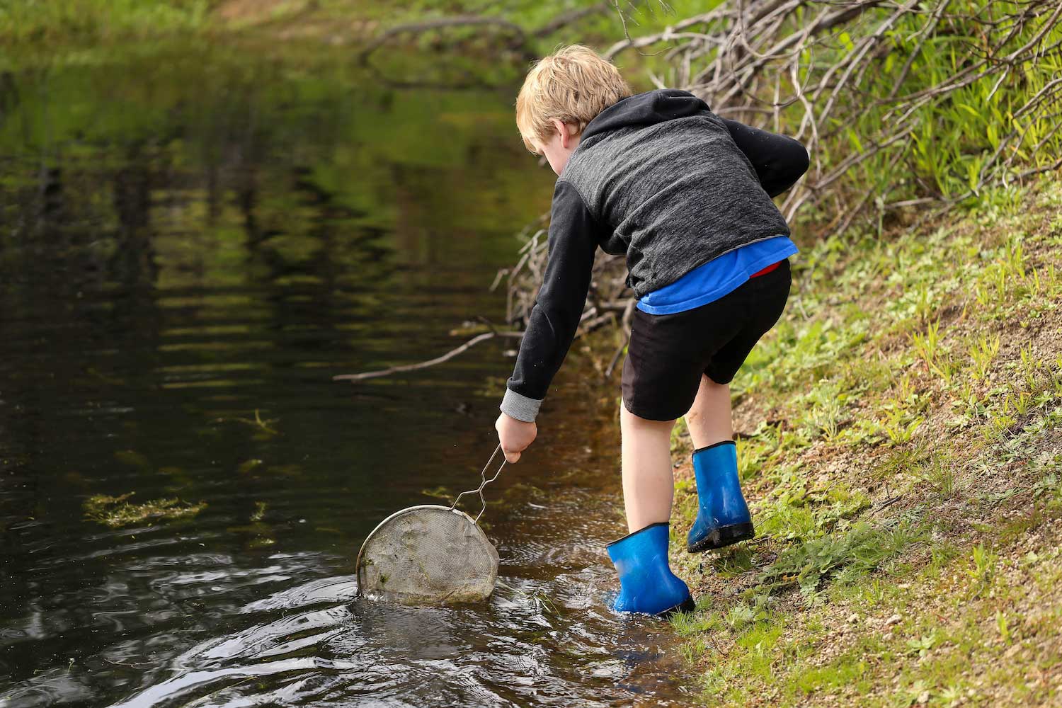 A boy using a net to scoop water.