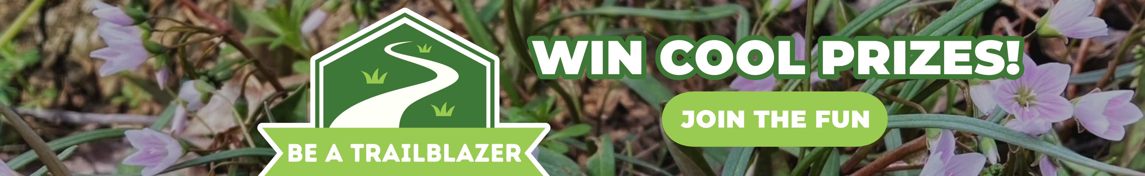 Be a Trailblazer link