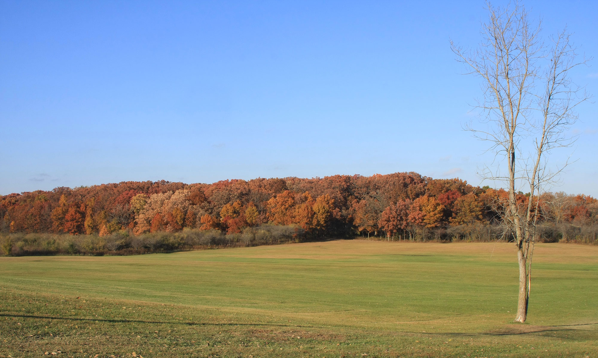 Fall color at Goodenow Grove Nature Preserve.
