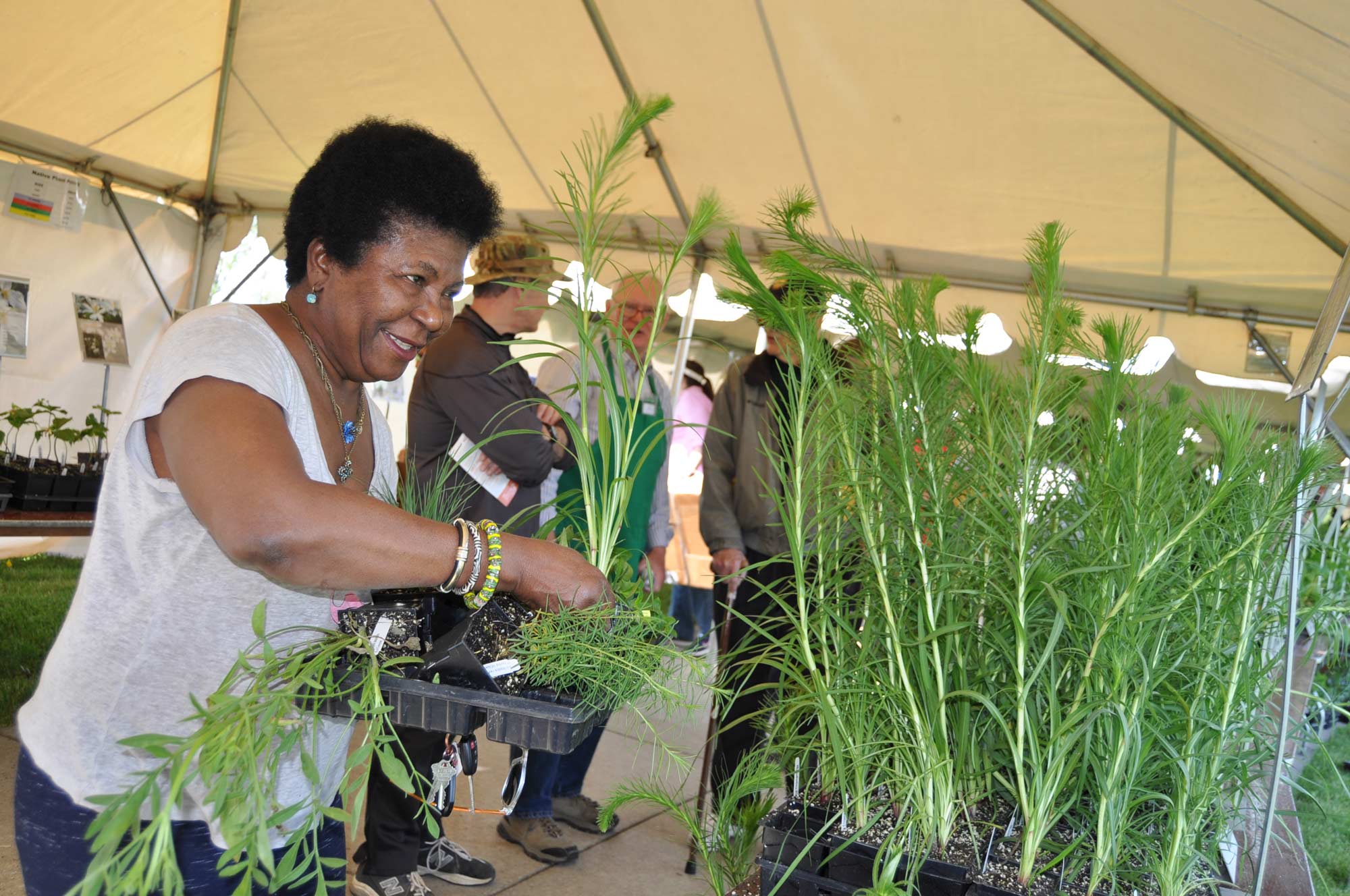 A woman selects a plant at a native plant sale.
