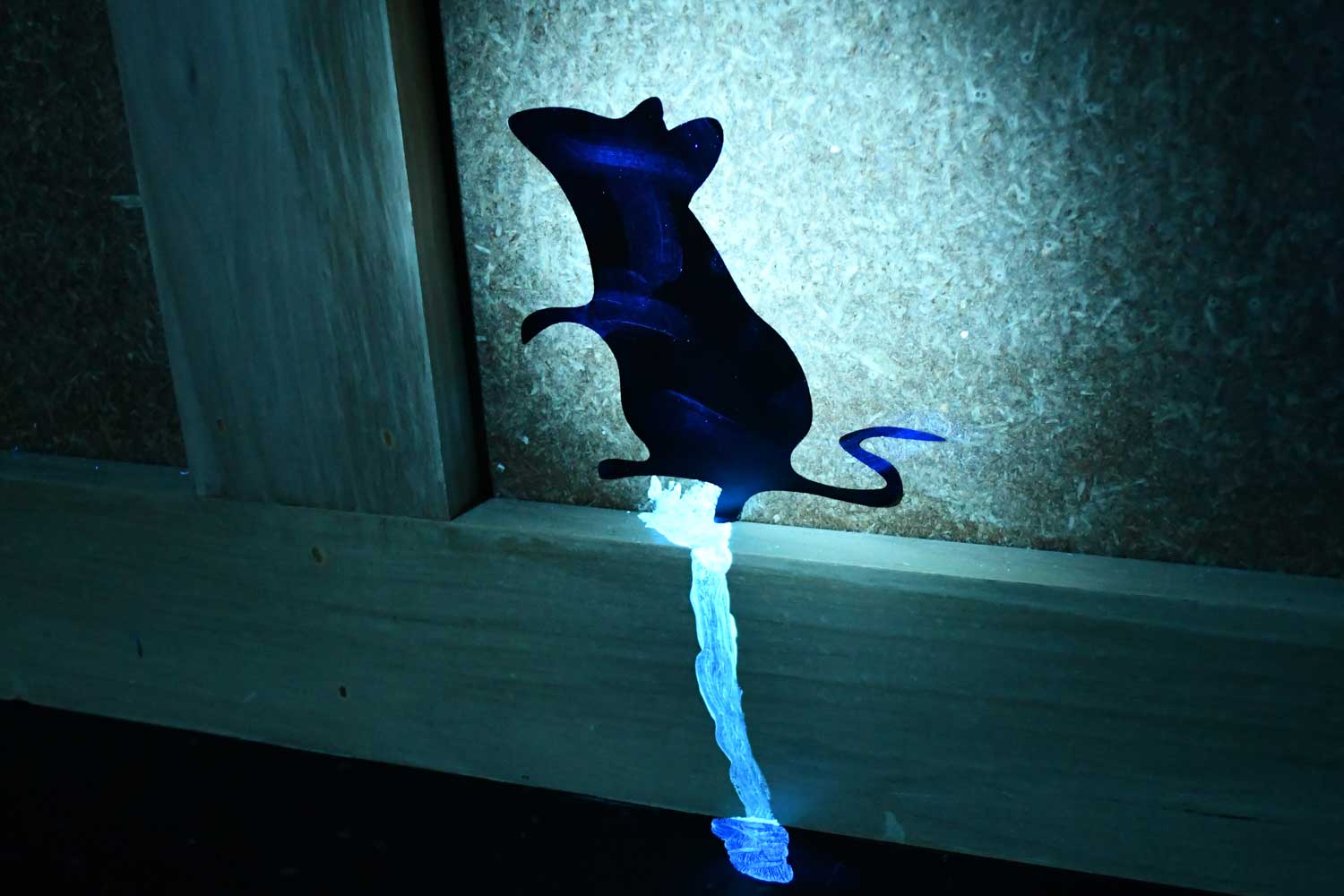Mouse on display in UV light.