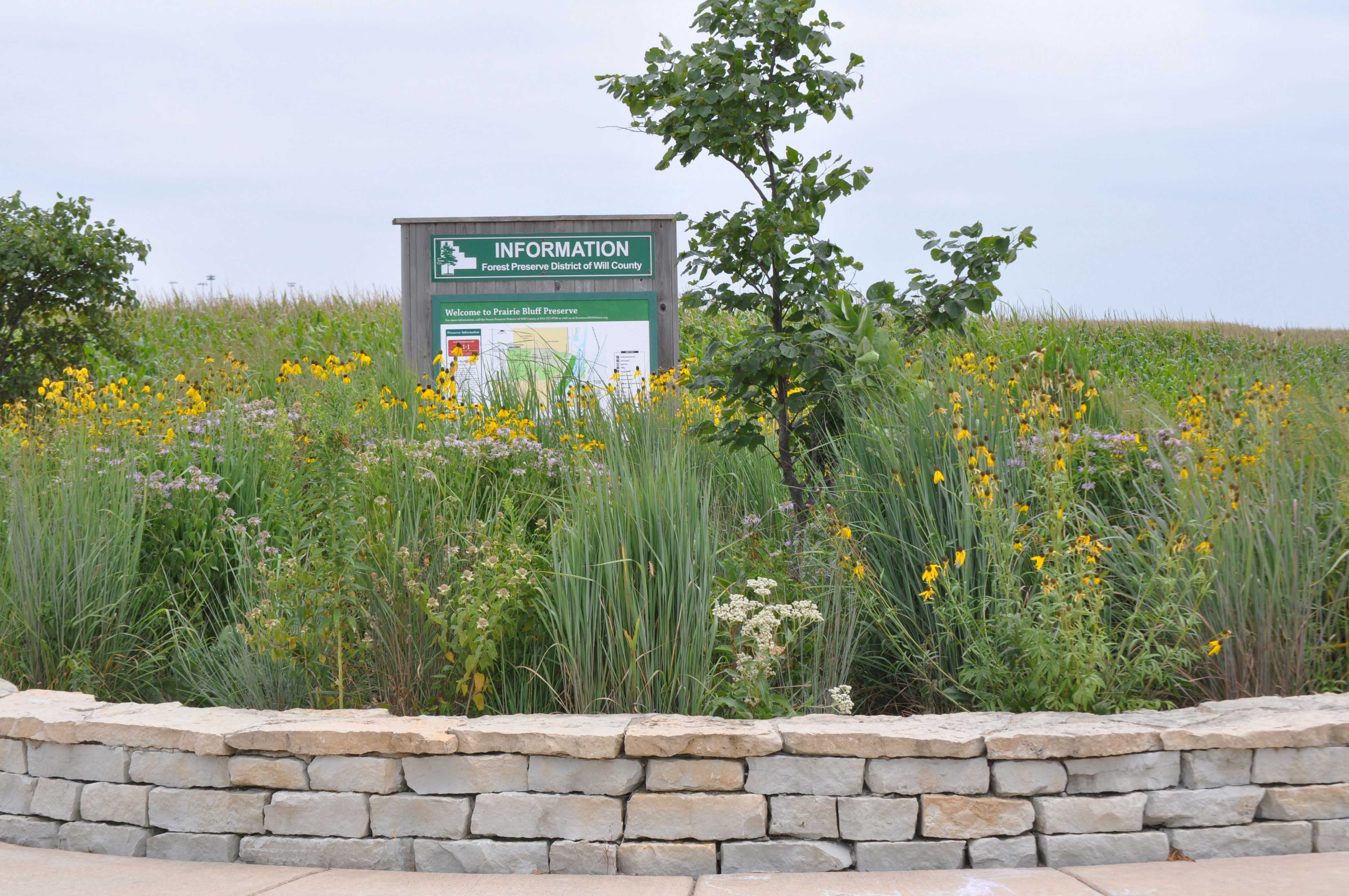 A view of the prairie at Prairie Bluff Preserve.
