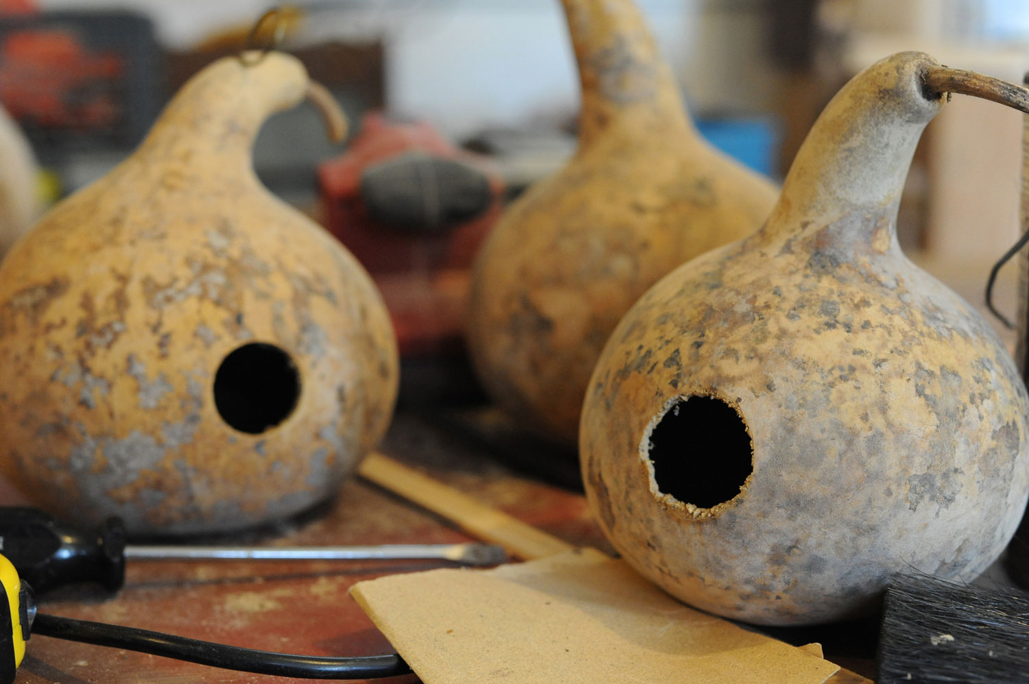 Hollowed-out gourds on a table.