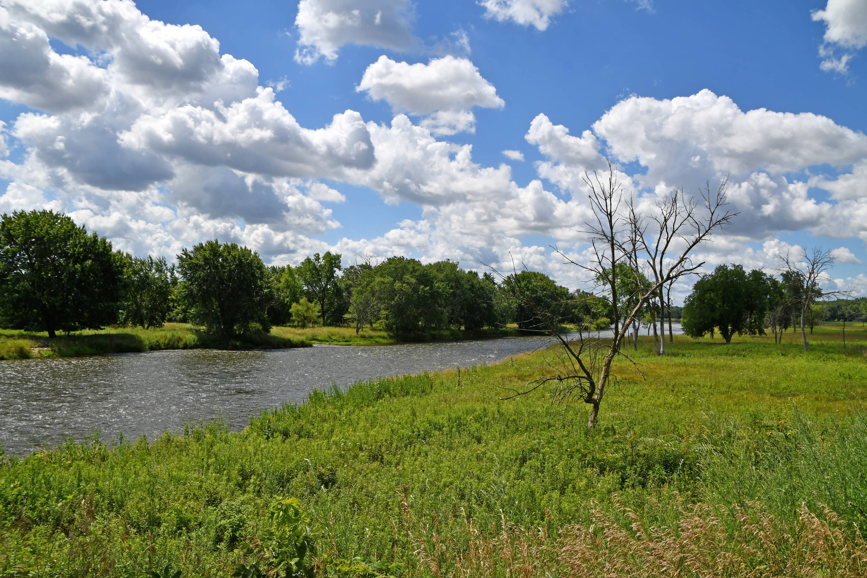 A scenic shot of a creek running through a prairie.