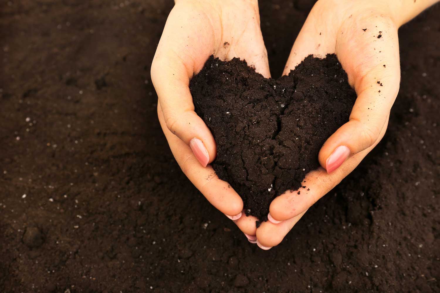 A pair of hands holding soil with soil in the background.