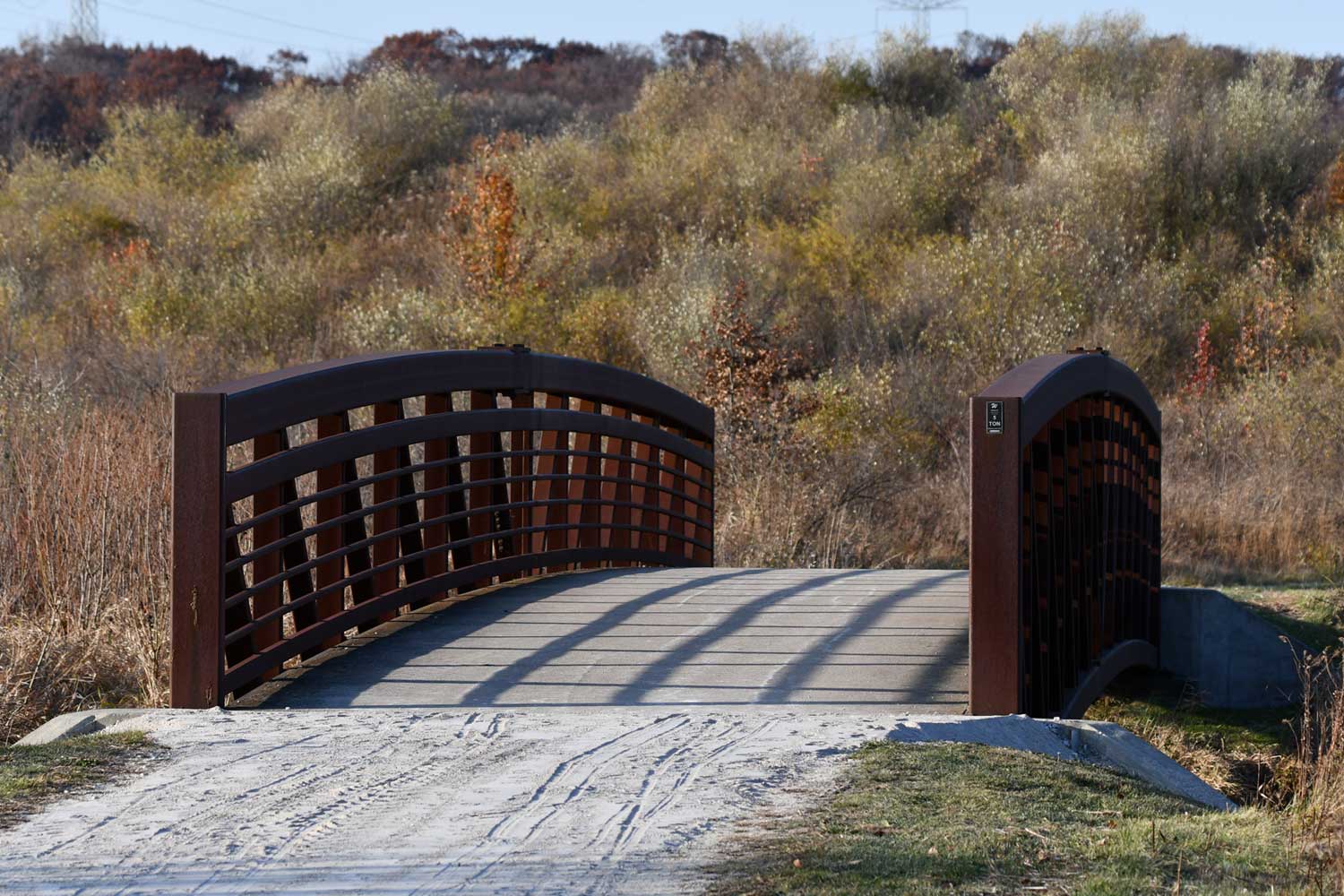 Bridge along a trail surrounded by grasses.