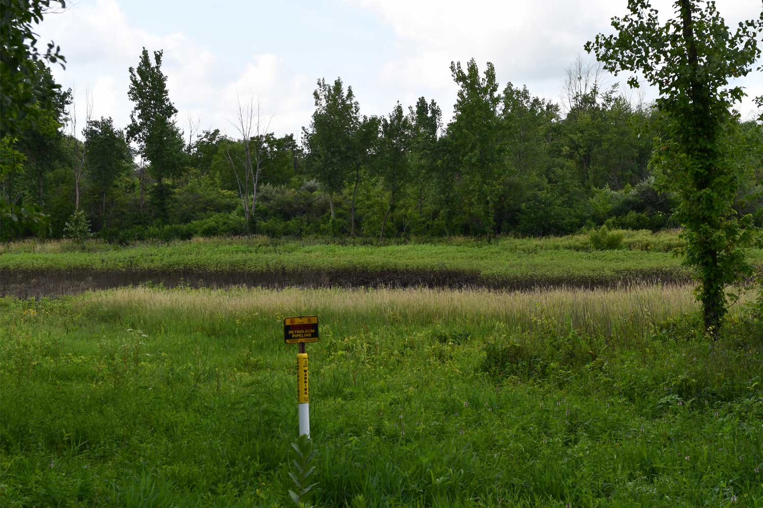 Field with trees in the background.