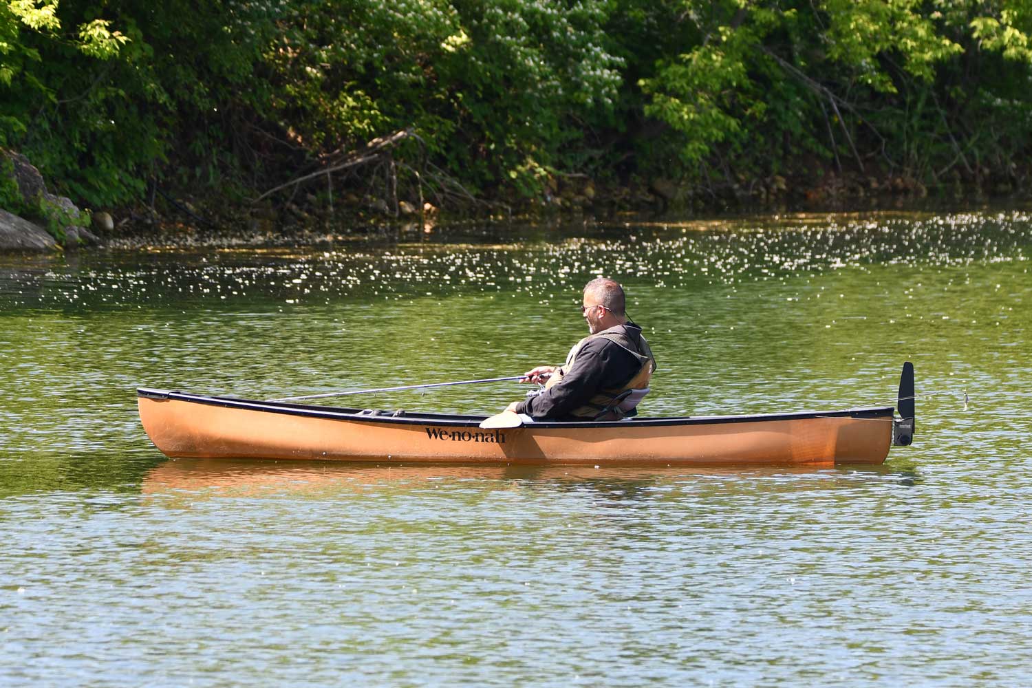 Person in a canoe with water and the tree line in the background.