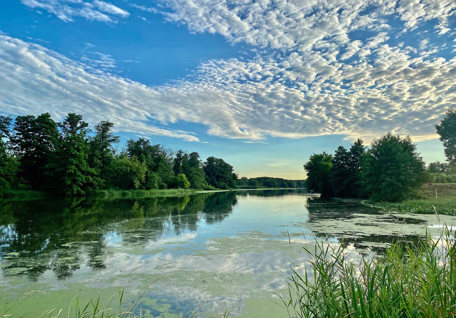 A river under a blue sky with puffy clouds.
