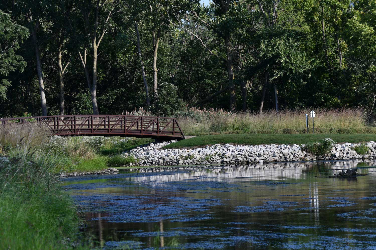 A summer view of a bridge spanning a pond.