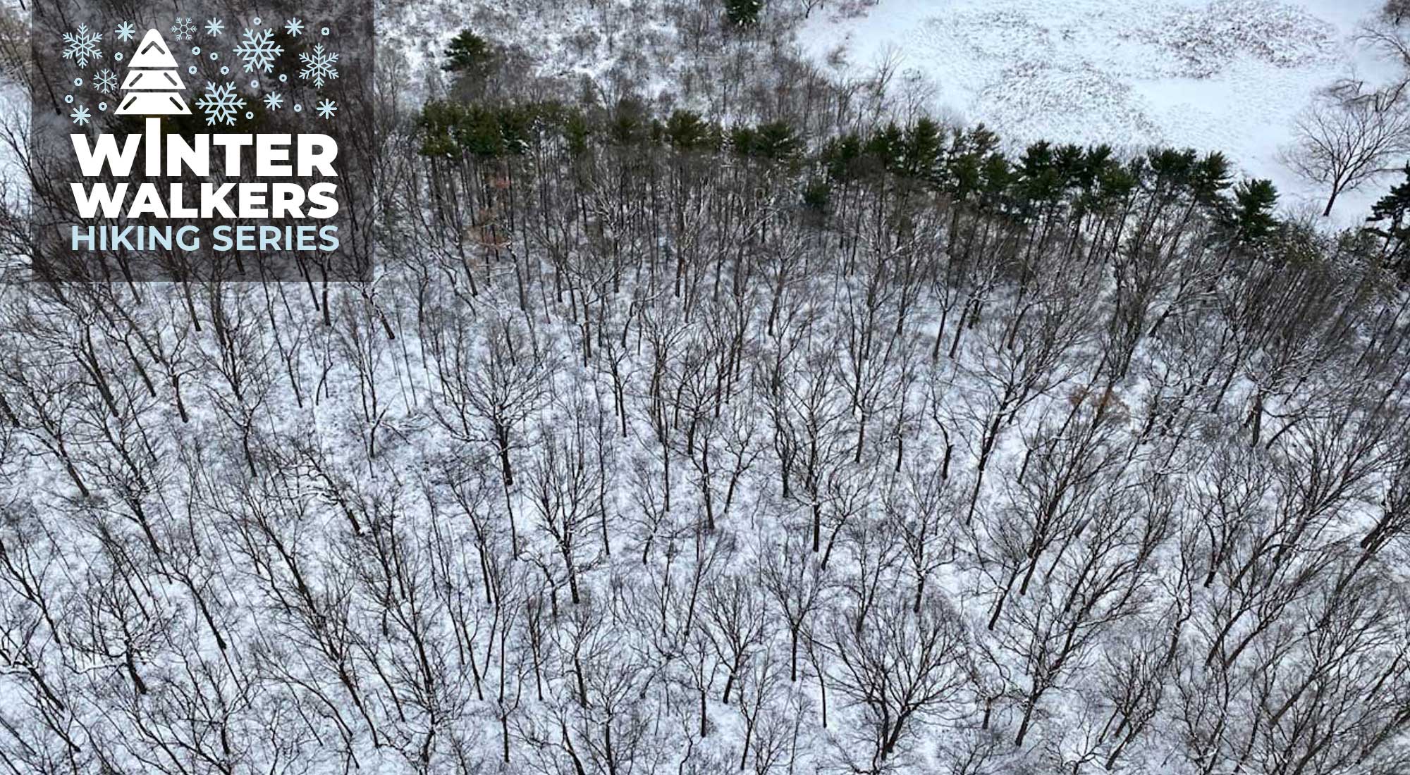 An aerial view of a snow-covered forest.