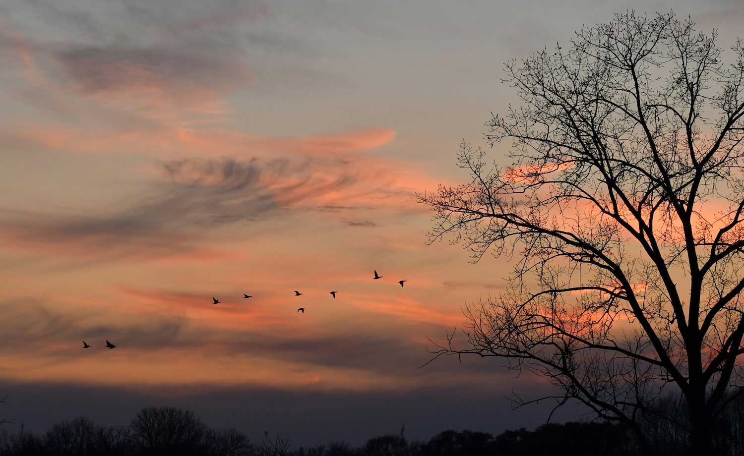 Winter solstice marks turning point for early sunsets Forest Preserve